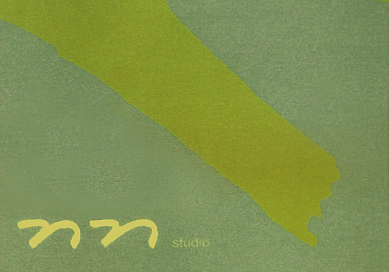 nn studio